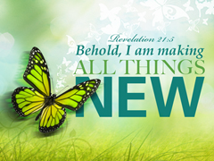 All Things New All Things New