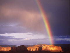 Rainbow Rainbow