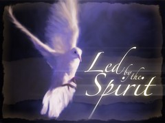 Spirit Led Spirit Led