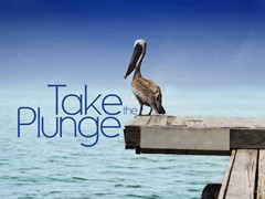 Take The Plunge Take The Plunge